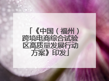 《中国（福州）跨境电商综合试验区高质量发展行动方案》印发