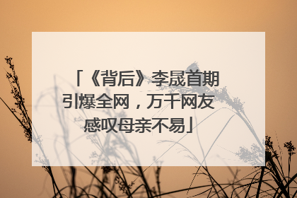 《背后》李晟首期引爆全网,万千网友感叹母亲不易
