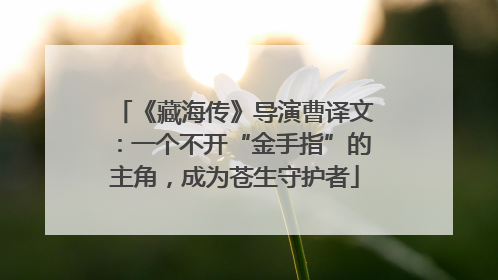 《藏海传》导演曹译文：一个不开“金手指”的主角，成为苍生守护者