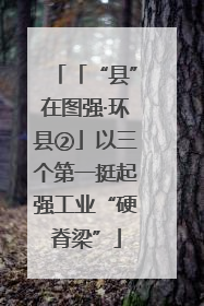 「“县”在图强·环县②」以三个第一挺起强工业“硬脊梁”