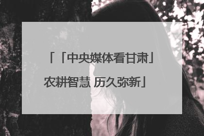 「中央媒体看甘肃」农耕智慧 历久弥新