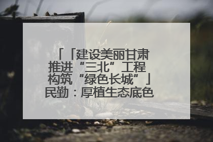 「建设美丽甘肃 推进“三北”工程 构筑“绿色长城”」民勤：厚植生态底色 筑牢绿色屏障