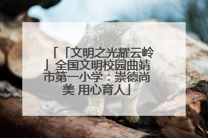 「文明之光耀云岭」全国文明校园曲靖市第一小学：崇德尚美 用心育人