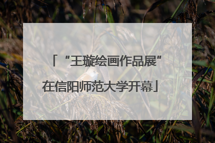 “王璇绘画作品展”在信阳师范大学开幕