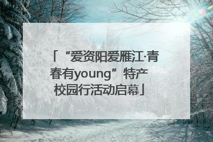 “爱资阳爱雁江·青春有young”特产校园行活动启幕