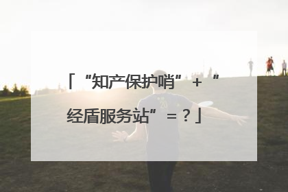 “知产保护哨”+“经盾服务站”=？