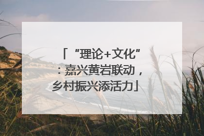 “理论+文化”：嘉兴黄岩联动，乡村振兴添活力