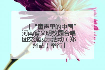 “童声里的中国”河南省文明校园合唱团交流展示活动（郑州站）举行