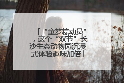 “童梦粽动员”，这个“双节”长沙生态动物园沉浸式体验趣味加倍