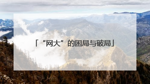 “网大”的困局与破局