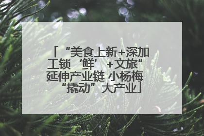 “美食上新+深加工锁‘鲜’+文旅”延伸产业链 小杨梅“撬动”大产业