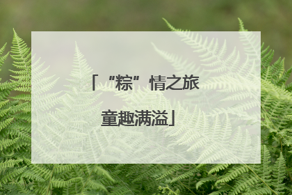 “粽”情之旅 童趣满溢