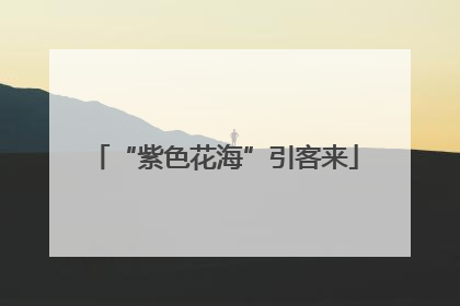 “紫色花海”引客来