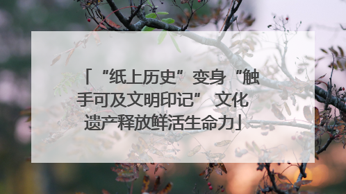 “纸上历史”变身“触手可及文明印记” 文化遗产释放鲜活生命力