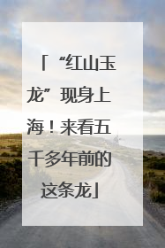 “红山玉龙”现身上海！来看五千多年前的这条龙