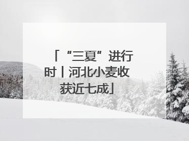 “三夏”进行时丨河北小麦收获近七成