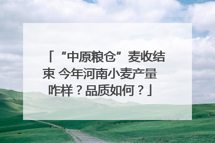 “中原粮仓”麦收结束 今年河南小麦产量咋样？品质如何？