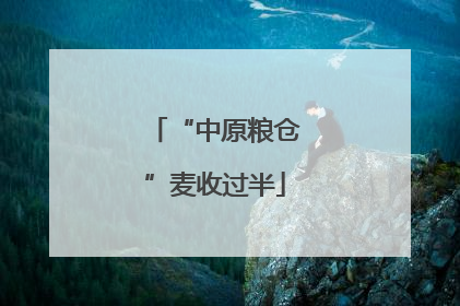 “中原粮仓”麦收过半
