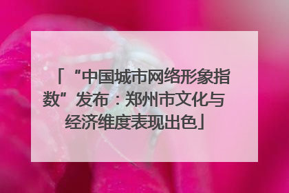 “中国城市网络形象指数”发布：郑州市文化与经济维度表现出色