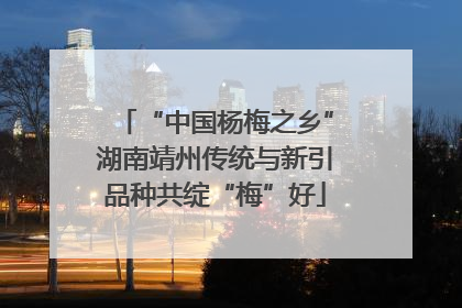 “中国杨梅之乡”湖南靖州传统与新引品种共绽“梅”好