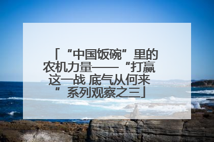 “中国饭碗”里的农机力量——“打赢这一战 底气从何来”系列观察之三