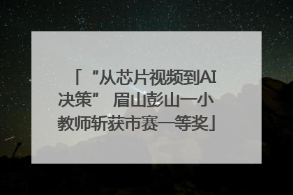 “从芯片视频到AI决策” 眉山彭山一小教师斩获市赛一等奖