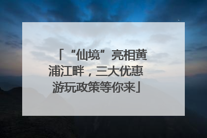 “仙境”亮相黄浦江畔，三大优惠游玩政策等你来