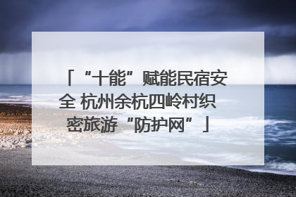 “十能”赋能民宿安全 杭州余杭四岭村织密旅游“防护网”