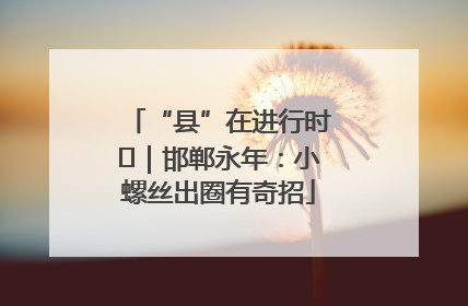 “县”在进行时⑬｜邯郸永年：小螺丝出圈有奇招