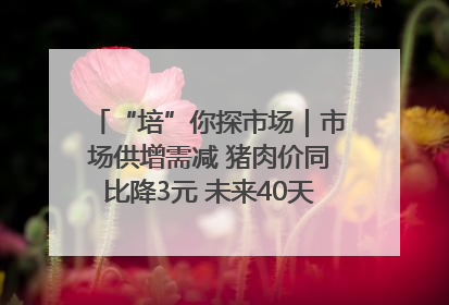 “培”你探市场｜市场供增需减 猪肉价同比降3元 未来40天便宜猪肉敞开吃