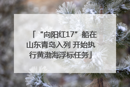“向阳红17”船在山东青岛入列 开始执行黄渤海浮标任务