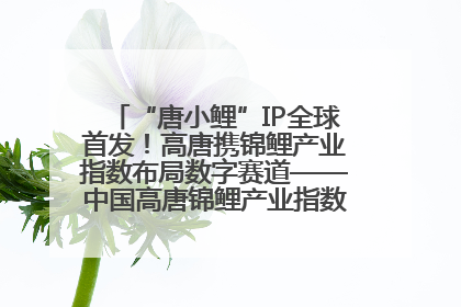 “唐小鲤”IP全球首发！高唐携锦鲤产业指数布局数字赛道——中国高唐锦鲤产业指数暨“唐小鲤”IP全球首发仪式在杭州举行
