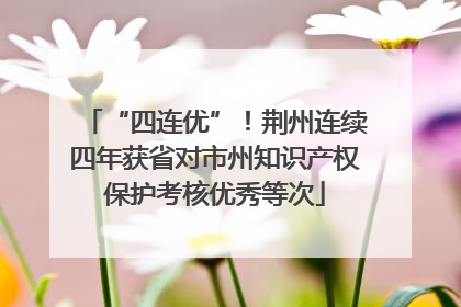 “四连优”！荆州连续四年获省对市州知识产权保护考核优秀等次