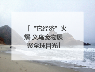 “它经济”火爆 义乌宠物展聚全球目光