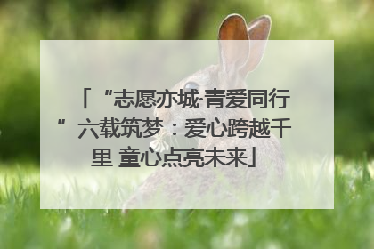 “志愿亦城·青爱同行”六载筑梦：爱心跨越千里 童心点亮未来