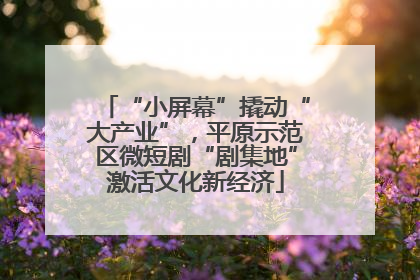 “小屏幕”撬动“大产业”，平原示范区微短剧“剧集地”激活文化新经济