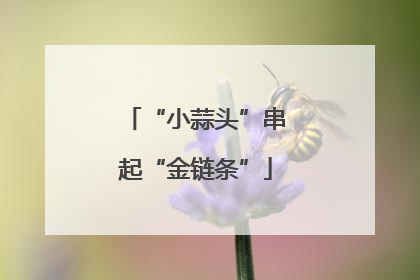 “小蒜头”串起“金链条”