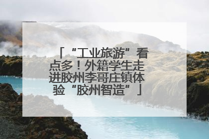 “工业旅游”看点多！外籍学生走进胶州李哥庄镇体验“胶州智造”