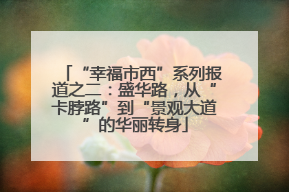 “幸福市西”系列报道之二：盛华路，从“卡脖路”到“景观大道”的华丽转身