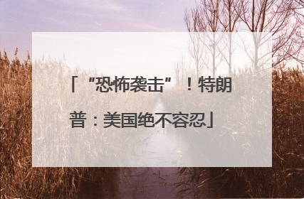 “恐怖袭击”！特朗普：美国绝不容忍