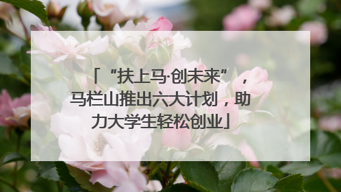 “扶上马·创未来”，马栏山推出六大计划，助力大学生轻松创业