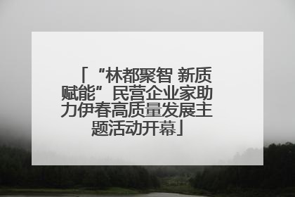 “林都聚智 新质赋能”民营企业家助力伊春高质量发展主题活动开幕