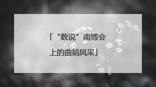 “数说”南博会上的曲靖风采