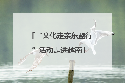 “文化走亲东盟行”活动走进越南