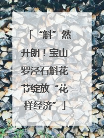 “斛”然开朗！宝山罗泾石斛花节绽放“花样经济”