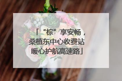 “棕”享安畅，桑植东中心收费站暖心护航高速路