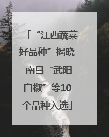 “江西蔬菜好品种”揭晓 南昌“武阳白椒”等10个品种入选