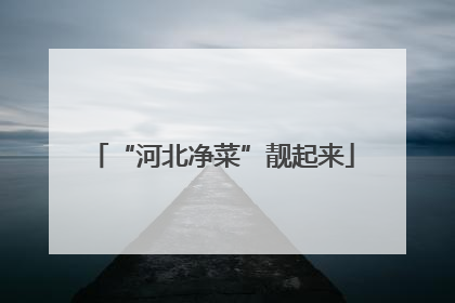 “河北净菜”靓起来