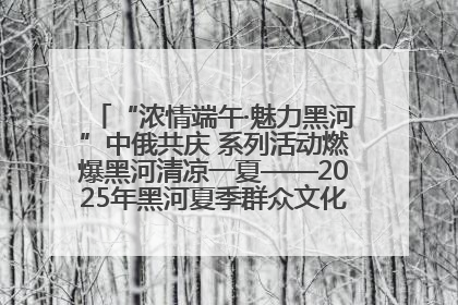 “浓情端午·魅力黑河”中俄共庆 系列活动燃爆黑河清凉一夏——2025年黑河夏季群众文化活动启幕 多元文化赋能边境文旅新高地
