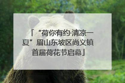 “荷你有约·清凉一夏”眉山东坡区尚义镇首届荷花节启幕